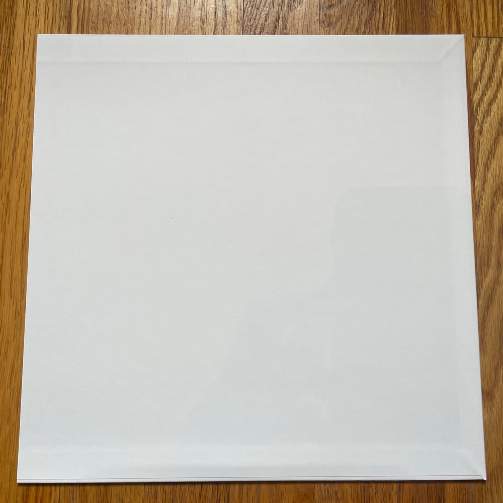 AARON DILLOWAY & C. SPENCER YEH - THE SQUID TEST PRESSING LP