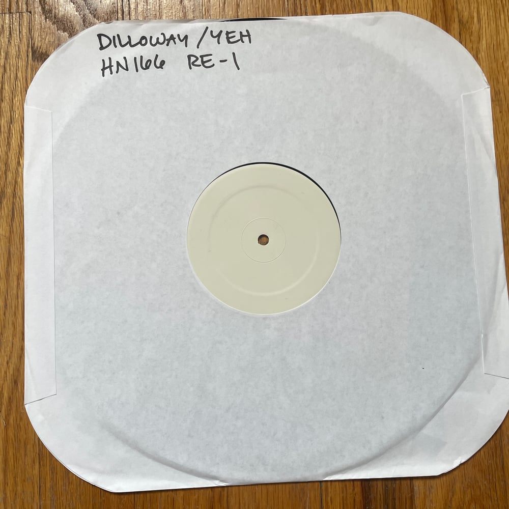 AARON DILLOWAY & C. SPENCER YEH - THE SQUID TEST PRESSING LP