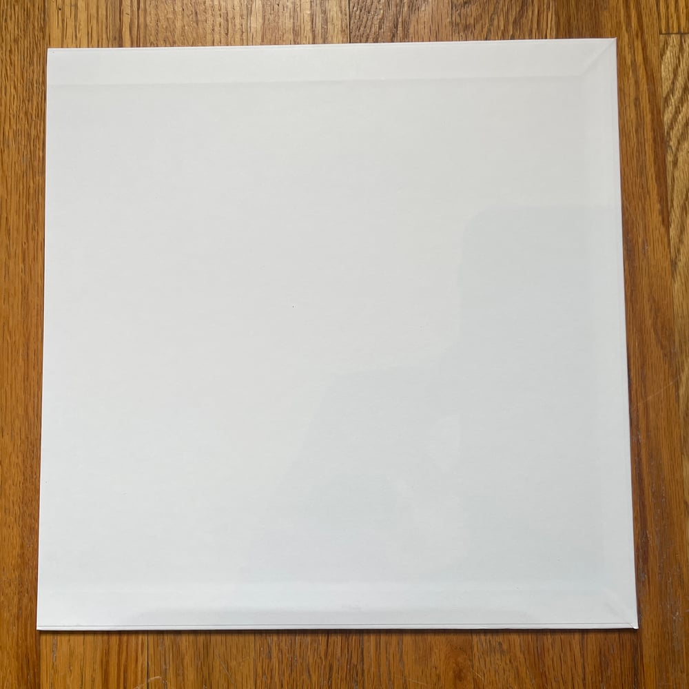 AARON DILLOWAY - THE BEAUTY BATH (BLACK) TEST PRESSING LP