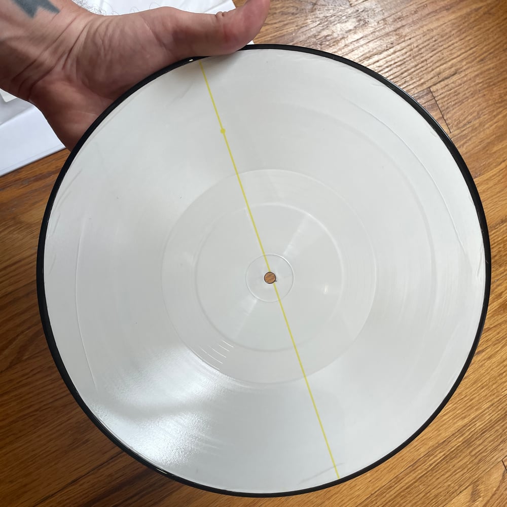 AARON DILLOWAY - THE BEAUTY BATH (PICTURE DISC) TEST PRESSING LP