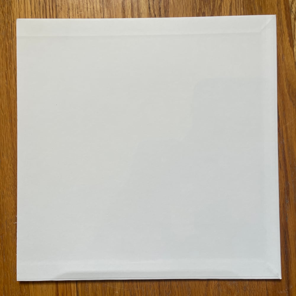 AARON DILLOWAY & C. SPENCER YEH - THE SQUID REJECTED TEST PRESSING LP