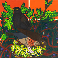 Image 2 of Nesting Blackbirds