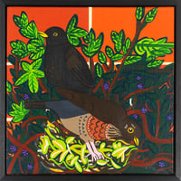 Image 1 of Nesting Blackbirds