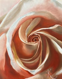 Peach Rose