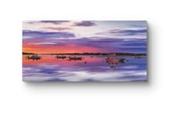 Image 1 of Purple Bay