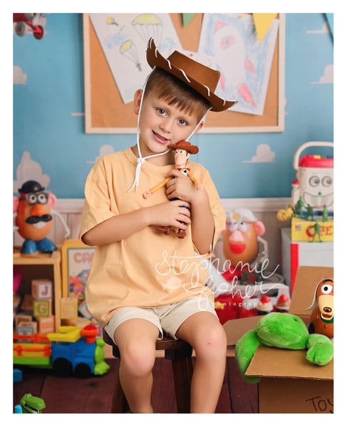 Image of Toy Story Minis