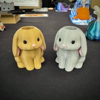 Velvetsheen Rabbit
