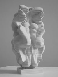 MONOGURUI u::field-equipage: (THE deFORMITIES)(iii)