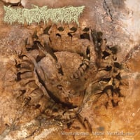 Image 1 of PHARMACIST - Vertebrae After Vertebrae (CD)