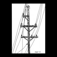 Telephone Pole #16