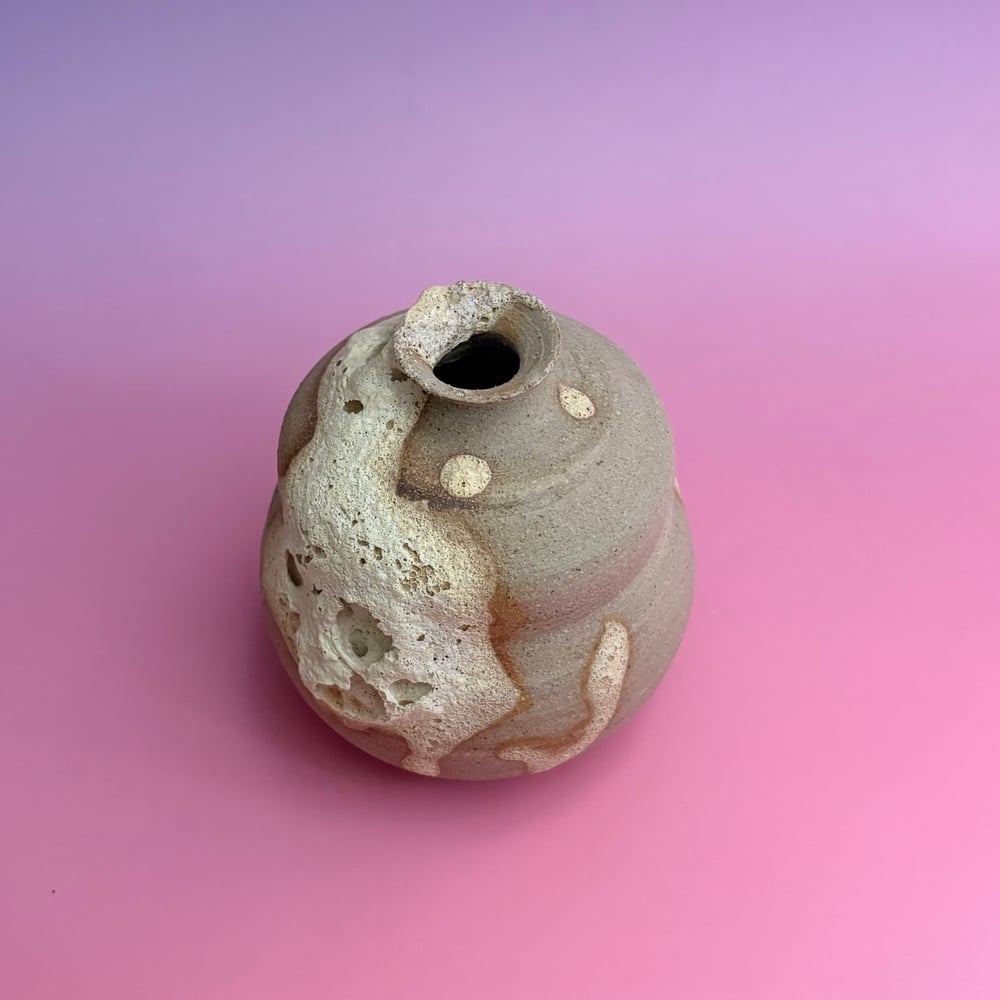 Image of Shipwrecked Vase 