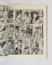 Image 4 of The Madame Paul Affair by Julie Doucet