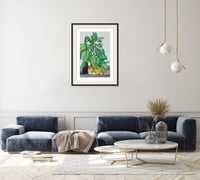 Image 1 of Jonas Wood - Still Life with Cat and Fruit, Giclee Print on Canvas or Paper, Minimalist Poster