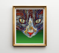 Image 2 of Jazz Cat