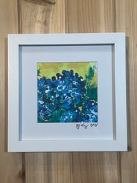 Dark Blue Hydrangea #1