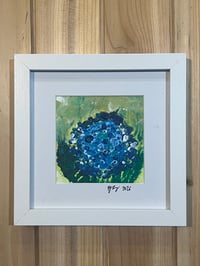Dark Blue Hydrangea #3