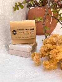Soap: Helichrysum & Honey
