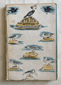 Image 1 of Birds of the Sea: A vintage King Penguin book