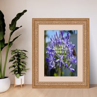 Image 1 of Self care flower art print bundle