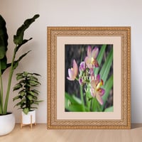Image 3 of Self care flower art print bundle