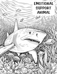 Image 3 of 20 Sarcastic and Swearing Humor Coloring Pages, Digital Download, Book, Adult, funny