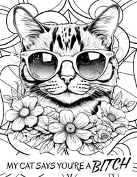 Image 5 of 20 Sarcastic and Swearing Humor Coloring Pages, Digital Download, Book, Adult, funny