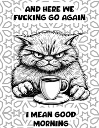 Image 8 of 20 Sarcastic and Swearing Humor Coloring Pages, Digital Download, Book, Adult, funny