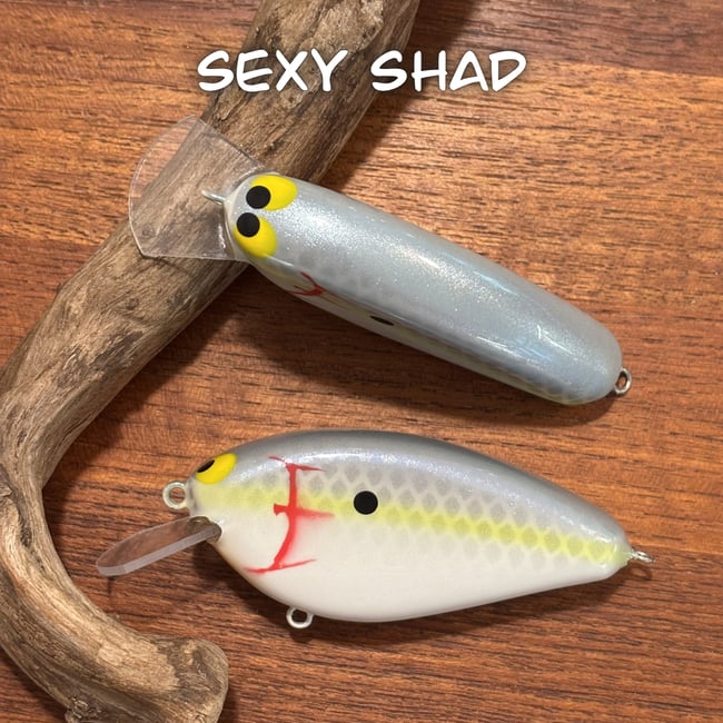 Epic Shad