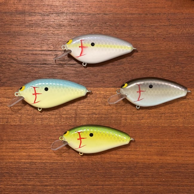 Epic Shad
