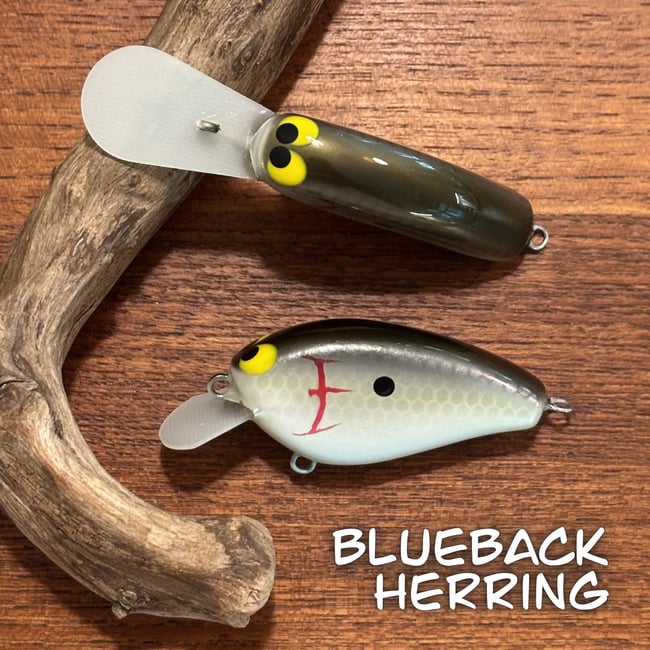 Micro Epic Shad Combo Pack