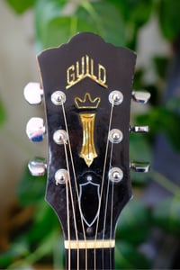 Image 4 of 1969 Guild D-50