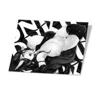 SILK (REPRINT)