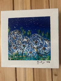 Image 1 of Nighttime Dandelions
