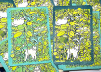 Backyard Cat Riso