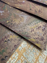Image 2 of Copper Nonpareil with swirl on brown // 4 sheets available 