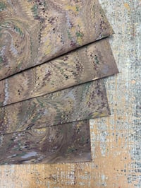 Image 7 of Copper Nonpareil with swirl on brown // 4 sheets available 