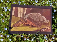 Image 2 of Wood turtle print