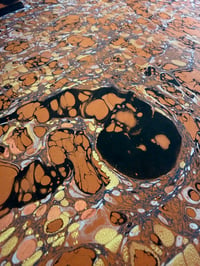 Image 1 of SECOND quality one-of-a-kind on Russet orange paper 