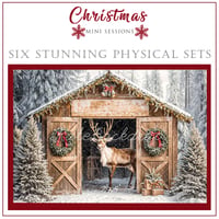 Image 3 of Christmas Mini Sessions 2026