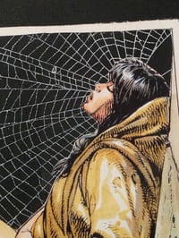 Image 3 of Framed Vintage Erotic French Comic strip page with preserved spider web - 1