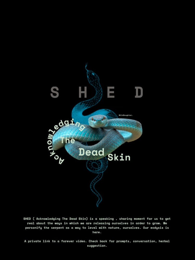 Image of SHED : Video Download 