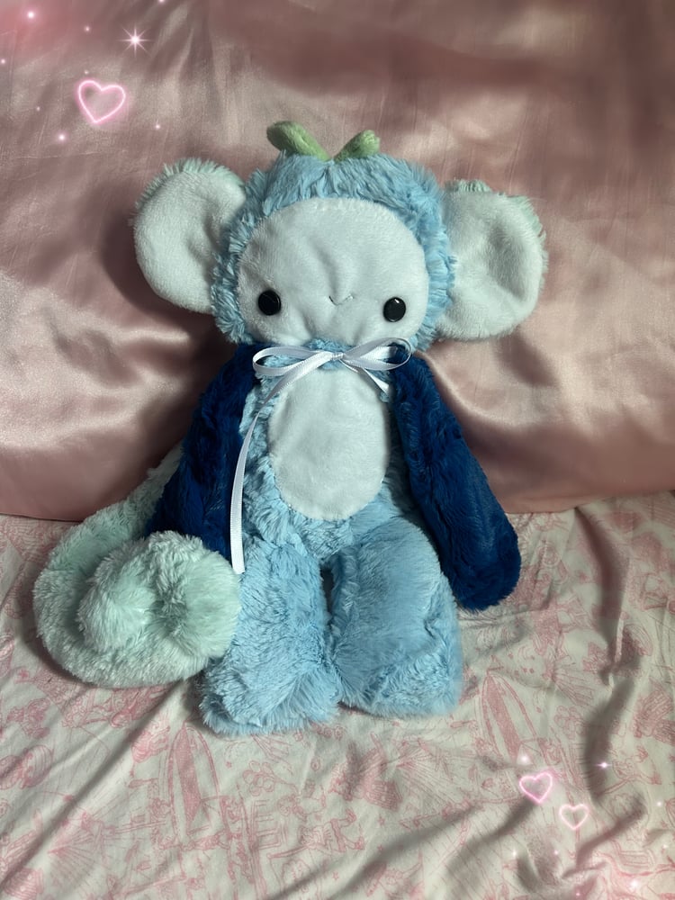 Image of whimberry the monkey