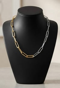 Paper Clip Two Tone Necklace