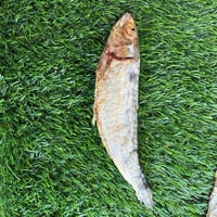 Image 1 of Sardine - Freeze-Dried Treat for Dogs & Cats