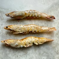 Image 1 of Large Prawn/Shrimp - Freeze-Dried Treat for Dogs & Cats