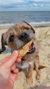 Image 2 of Large Prawn/Shrimp - Freeze-Dried Treat for Dogs & Cats
