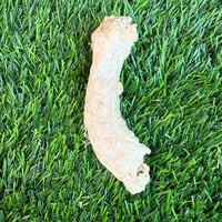Chicken Neck - Freeze-Dried Treat for Dogs & Cats