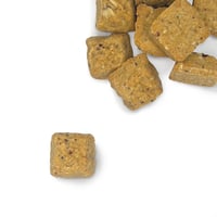Image 1 of Peanut Butter Buzz Oat Bites - Crunchy Dog Treats (Bulk)