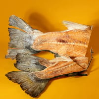 Freeze-Dried Salmon Mermaid Tail Chew For Dogs