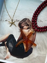 Image 1 of Stars of the Ocean